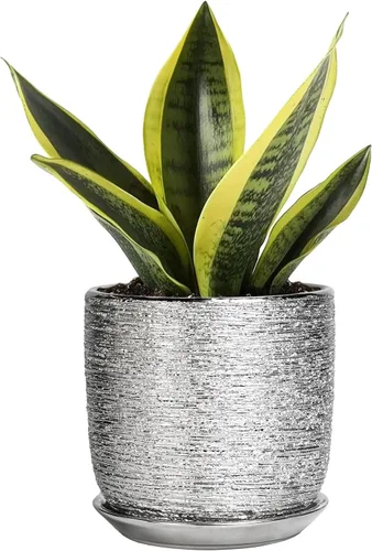 Miniatura 53 de Maceta de Cerámica para Plantas de Interior de 5 Pulgadas - Maceta Redonda para Plantas Suculentas con Agujero de Drenaje y Platillo, Decoración