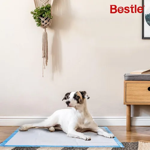 Miniatura 4 de BESTLE - Tapetes de entrenamiento para mascotas y cachorros extra grandes para perros, mide 28 x 34 pulgadas, 40 unidades, superabsorbentes y a