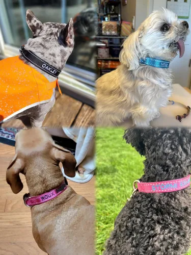 Miniatura 6 de Collares reflectantes personalizados para perros con nombre y número de teléfono bordados, de neopreno suave, acolchado, de nailon transpirable