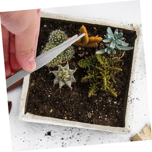 Miniatura 3 de 4 pinzas de acero inoxidable para jardinería suculenta, puntas curvas y rectas para proyectos de cuidado de plantas de precisión y herramientas