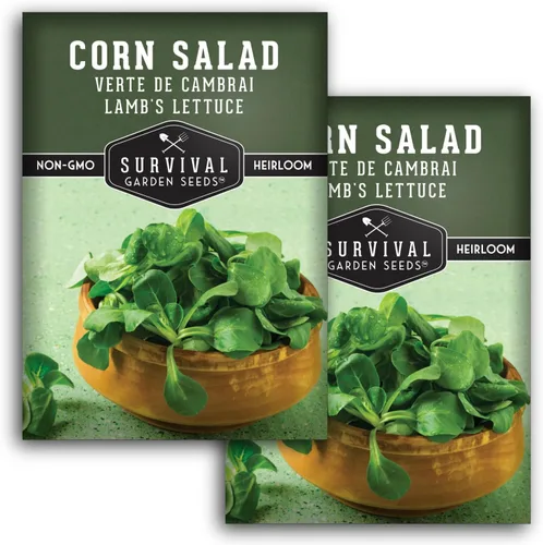 Miniatura 10 de Ensalada de maíz Verte de Cambrai Semillas para plantar, 1 paquete con instrucciones para plantar y cultivar lechuga de cordero o macé en tu huerto