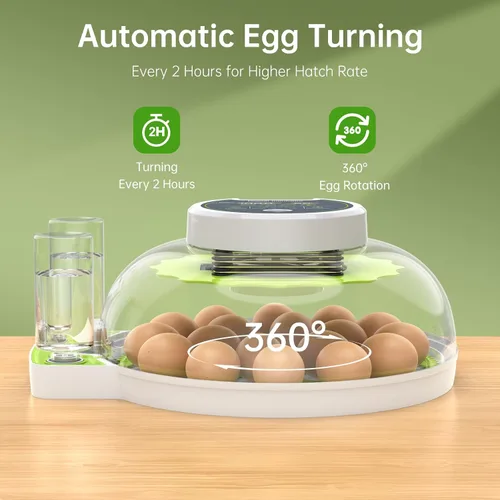 Miniatura 4 de Incubadora de 8 huevos con giro automático de huevos, control de temperatura y humedad, vela de huevos, mini incubadora digital para incubar pollo