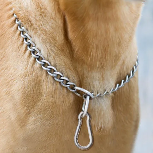 Miniatura 7 de YuCool Paquete de 2 collares de cadena para perros, collares de estrangulamiento de metal resistente, collar de entrenamiento de mascotas de acero