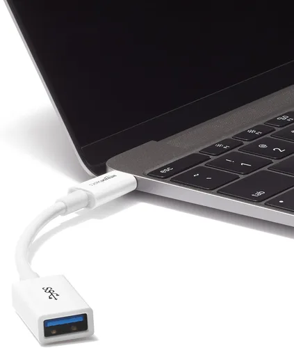 Miniatura 5 de Amazon Basics Convertidor de cable adaptador USB-C a USB-A 3.1 Gen1 hembra, 5 Gbps de alta velocidad, certificado USB-IF, para portátiles, tabletas