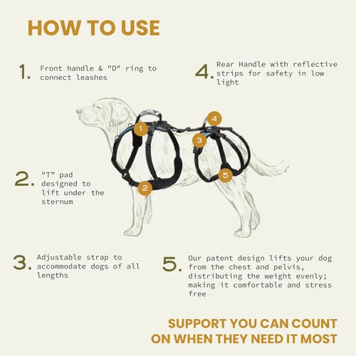 Miniatura 3 de Arnés Help 'Em Up │ Arnés de elevación ajustable para perros │ Soporte de cuerpo completo, soporte de patas traseras (Convencional, Mediano)