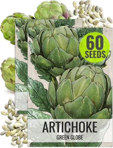 Seed Needs Semillas de alcachofa para plantar alcachofas de globo verde, reliquia sin OMG y sin tratar, cultiva un huerto cultivado en casa al aire
