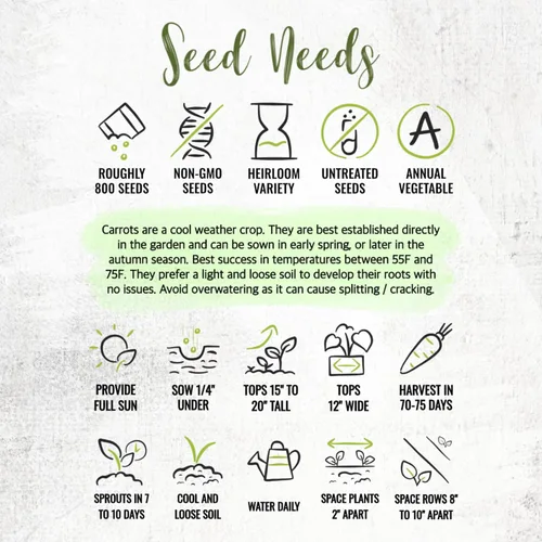 Miniatura 8 de Seed Needs, Tendersweet Semillas de zanahoria – 800 semillas de reliquia para plantar Daucus carota – Cultivadas en casa sin OMG y sin tratar