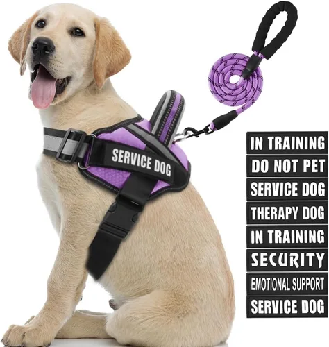 Miniatura 23 de Juego de arnés y correa para perro de servicio, arnés de entrenamiento para perro Animire con 10 parches para perros, correa reflectante para perro