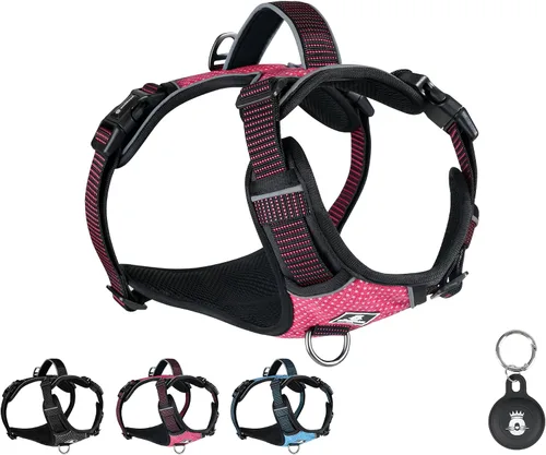 Miniatura 10 de Emperor Pets Arnés sin tirones para perros pequeños, chaleco Oxford reflectante acolchado suave, 2 clips para correa, ajuste ligero ajustable, negro