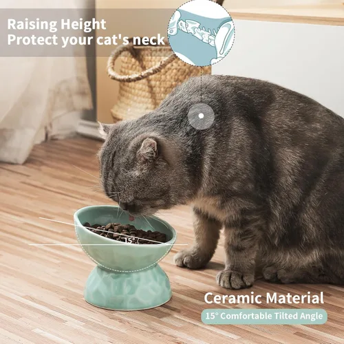 Miniatura 4 de Tazones elevados de cerámica para gatos, juego de cuencos elevados inclinados para comida y agua, plato de porcelana libre de estrés para gatos