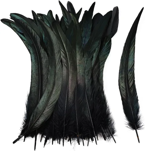 Miniatura 24 de iHUFeather Plumas de cola de gallo naturales, 50 plumas de cola de gallo de 10 a 12 pulgadas de largo, a granel para manualidades, disfraces