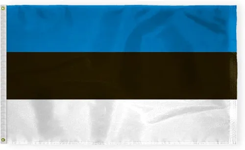 Miniatura 7 de AGAS - Bandera de Estonia de 5 x 8 pies, nailon 200D, 6 agujas cosidas, dobladillo con mosca, nunca se oxida, ojales de latón, bandera nacional
