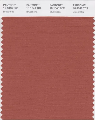 Miniatura 12 de PANTONE Tarjeta de muestra de color inteligente 18-1314X, bellota