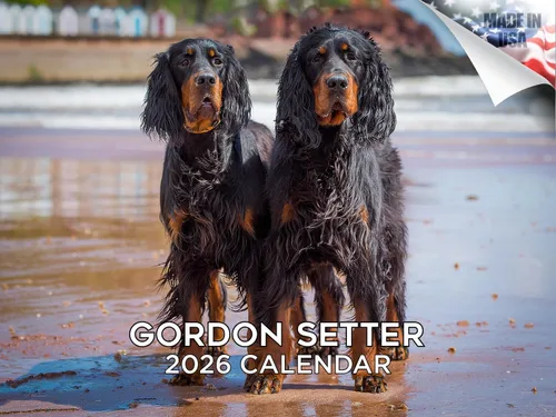 Miniatura 184 de Calendario 2025 2026 de cachorros Cocker Spaniel - Calendario mensual de pared de raza de perro - 12" x 24" abierto - Papel grueso sin sangrado