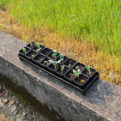 Miniatura 8 de Paquete de 200 macetas cuadradas de plástico negro de 1.95 pulgadas para vivero y plántulas, mini maceta de trasplante con orificio de drenaje