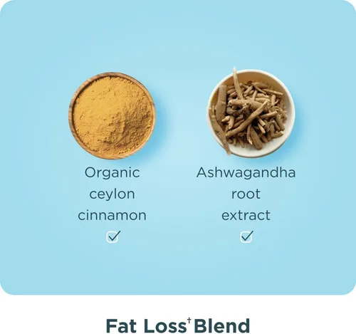 Miniatura 6 de Ancient Nutrition Péptidos de colágeno hidrolizados avanzados, proteína en polvo magra con probióticos y vitamina C, canela, para mujeres y hombres