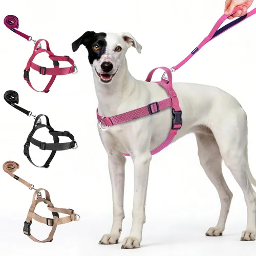 Miniatura 8 de Annchwool Arnés para perro sin tirones con clip frontal y asa de fácil control, arnés ajustable para el vientre y el pecho y correa para perros