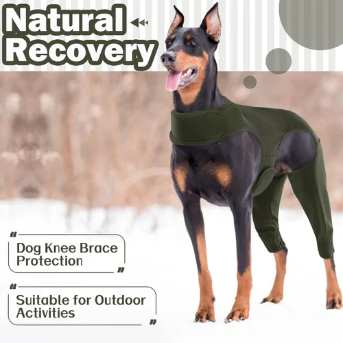 Miniatura 4 de ROZKITCH Manga para Perro para Patas Traseras, Manga para Mascotas para Evitar que el Perro Lame Heridas, Protector de Codo, Traje de Recuperación