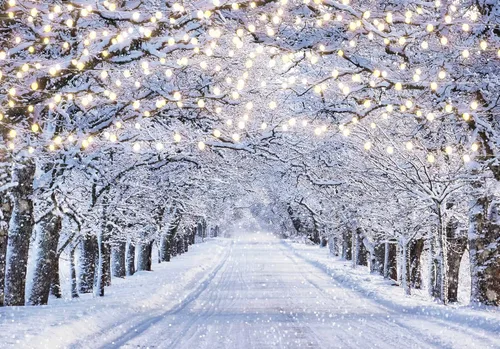 Telón de Fondo Fotográfico de Escena Invernal de 7x5 Pies País de las Maravillas Copo de Nieve Brillo Nieve Paisaje Árbol Decoración Navidad Fiesta