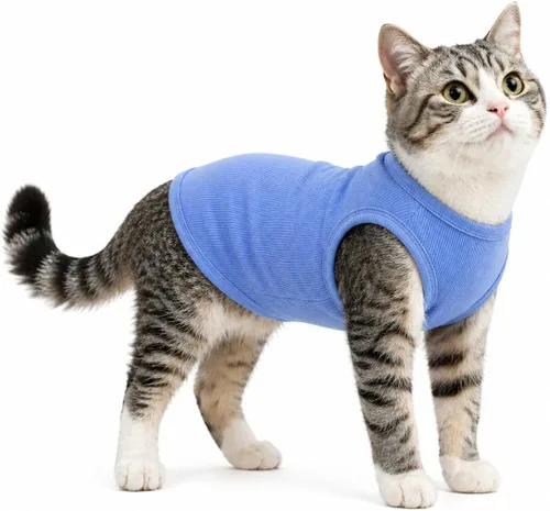 Miniatura 19 de Lovelonglong Ropa para mascotas de verano 2019, ropa para perro, camisetas en blanco, camisetas acanaladas, chalecos de hilo superior para perros