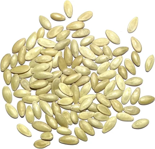 Miniatura 5 de Seed Needs Semillas de cucamelón/semillas de pepino de limón para plantar, sin OMG, herencia y verduras sin tratar, cultiva un huerto al aire libre