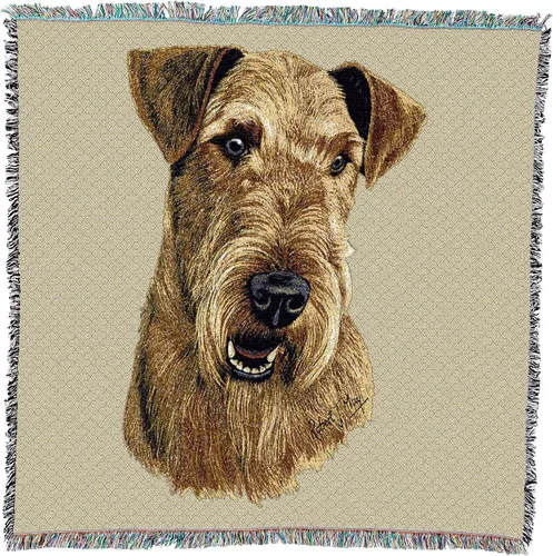 Pure Country Weavers Airedale Terrier - Manta cuadrada de regazo por Robert May - Grupo Terrier, regalo para los amantes de los perros, manta de