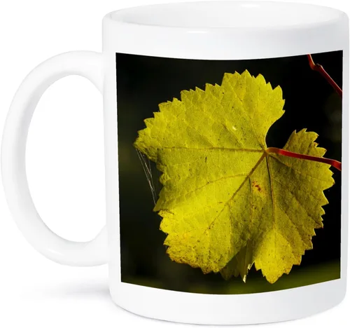 Miniatura 11 de 3dRose Estados Unidos, Oregon, Keizer, Pinot Gris hoja de viñedo - US38 RBR0742 - Rick A Brown 11oz taza negra de dos tonos