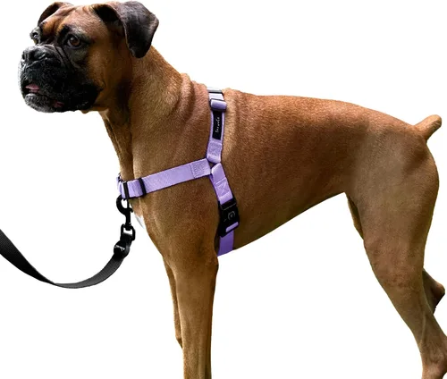Miniatura 8 de ShawnCo Dream Walk Arnés para Perros Sin Tirones - Ajustable, Cómodo, Fácil de Usar, Cabestro para Mascotas para Ayudar a Detener los Tirones