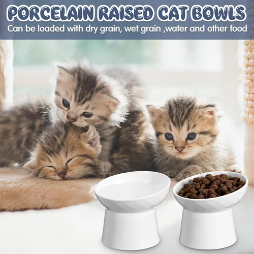 Miniatura 6 de Tanlade 4 cuencos elevados de cerámica para gatos, cuenco elevado inclinado para gatos para agua de alimentos, sin estrés, prevención de reflujo