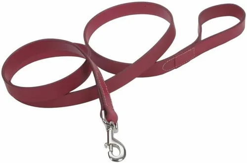 Miniatura 9 de Coastal Pet Circle T - Correa de piel curtida de roble para perro, accesorio duradero perfecto para entrenamiento de correa, herramienta cómoda