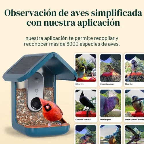 Miniatura 6 de Birdbuddy PRO Comedero Inteligente para Aves sin Energía Solar con Cámara - Identificación de Especies de Aves por IA, Fotos de 5MP, Cámara
