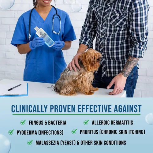 Miniatura 3 de Champú medicado hipoalergénico para perros con ácido salicílico, piel y cabello sensibles, con picazón y lavado y eliminador de olores (4 onzas)