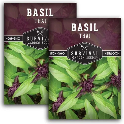 Miniatura 10 de Semillas de albahaca tailandesa para plantar – Albahaca dulce tailandesa con sabor a anís para cocina asiática – Semillas de hierbas tradicionales