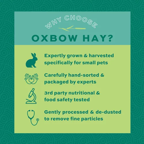 Miniatura 5 de Oxbow Western Timothy Hay para Mascotas Pequeñas – Heno de Hierba Totalmente Natural para Conejos, Cobayas y Chinchillas – Alto en Fibra