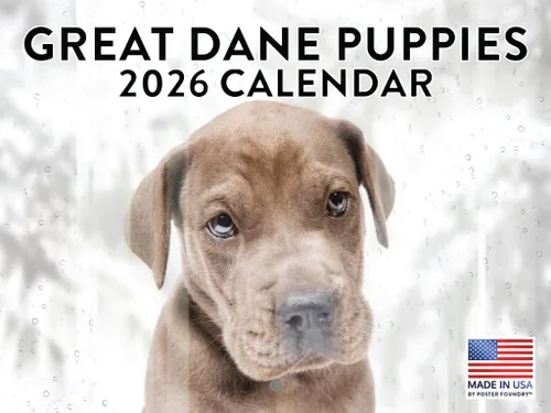 Miniatura 220 de Calendario de pared mensual 2025 Great Dane de 12 meses, fabricado en Estados Unidos