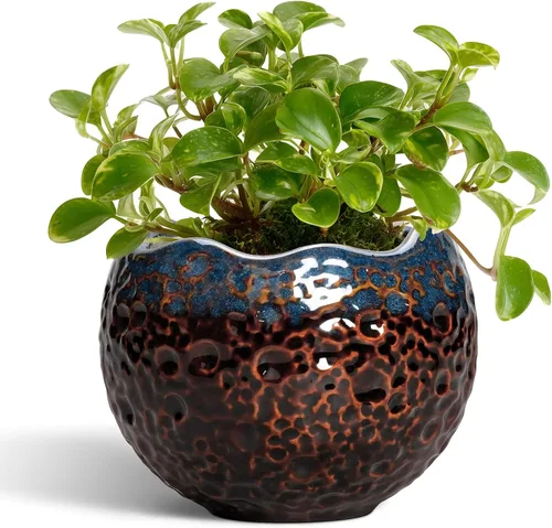 Miniatura 35 de Macetas de Cerámica Thirtypot - Maceta de 4 Pulgadas con Agujero de Drenaje, Macetas Pequeñas para Plantas de Interior y Exterior, Maceta Redonda