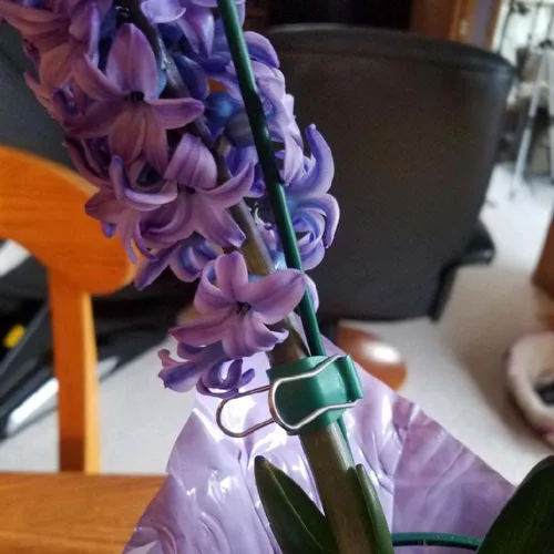 Miniatura 7 de Clips reutilizables para jardín y cables – Soportes de abrazadera para interiores y exteriores para plantas, cables, cables, tiras de luces