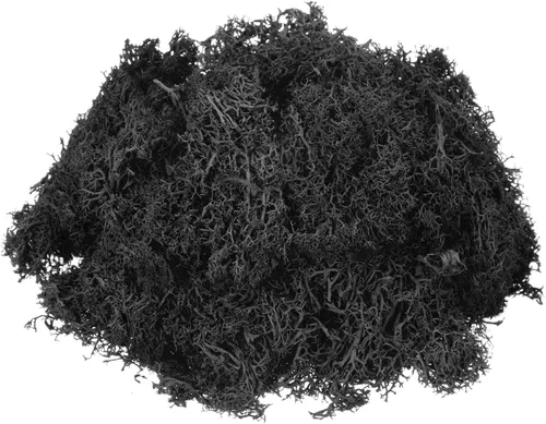 MECCANIXITY Musgo de reno preservado de 3 onzas, musgo artificial decorativo negro para plantas en maceta, manualidades de interiores, centros de