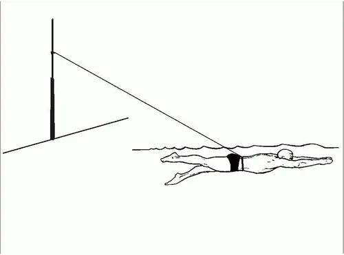 Miniatura 8 de Cinturón de natación Cinturón de entrenamiento de natación con cuerda elástica de 7.2 ft ajustable para nadar en su lugar Cinturón de entrenamiento