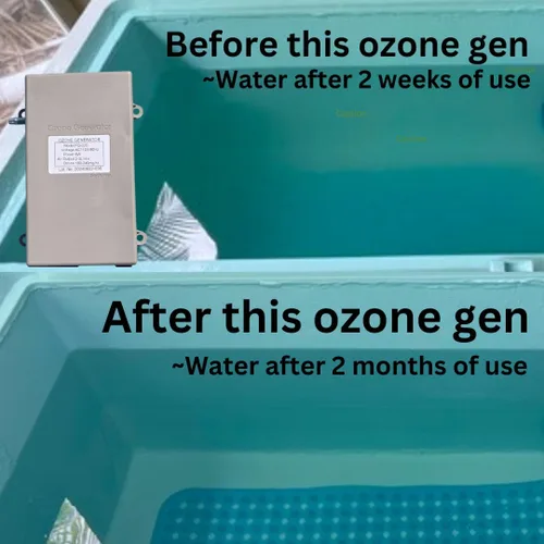 Miniatura 2 de Generador de ozono para inmersión en frío. Mantenga su inmersión de frío limpio. Mantenga la inmersión fría o la frescura del agua del baño de hielo