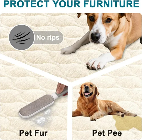 Miniatura 5 de Gollense Funda antideslizante para sofá para mascotas, funda acolchada de felpilla mullida para perros, lavable, protector suave y apto para Marfil