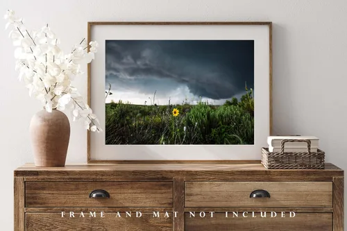 Miniatura 4 de Storm Photography Print (Not Framed) Picture of Thunderstorm Passing Behind Wild Sunflower on Spring Day in Texas Flower Wall Art Nature Decor