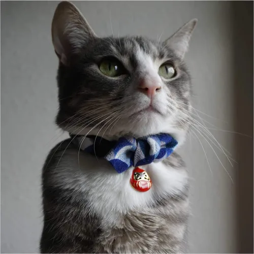 Miniatura 6 de Necoichi Daruma Charm Pajarita Collar de gato (azul)