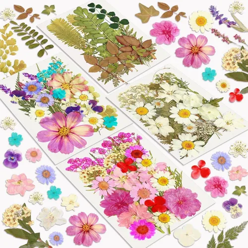 Miniatura 15 de Flores Secas, Resiners 58 Piezas Flores Prensadas para Manualidades Rosa Flores Secas Naturales Reales Kit de Hojas Secas para DIY Hacer