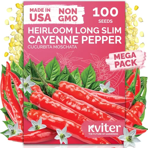 Miniatura 28 de KVITER 3100 semillas de zanahoria tiernas para plantar (Daucus carota) - Semillas de vegetales sin OMG para jardín al aire libre - Zanahorias dulces
