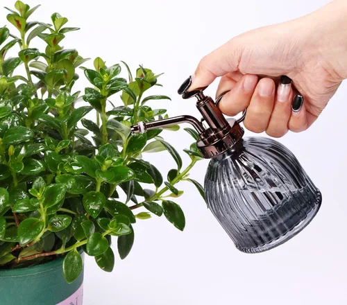 Miniatura 5 de Mister de cristal para plantas, botella de rociador de agua de vidrio verde de 6.5 pulgadas con bomba superior dorada, rociador de plantas pequeñas