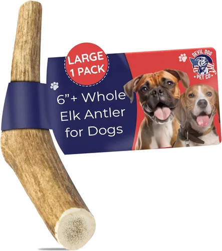 Miniatura 17 de Devil Dog Pet Co. Cornamentas de alce para perros, extra grandes 17,8 cm+, 1 paquete, grado A, masticable duradero para masticadores agresivos, asta