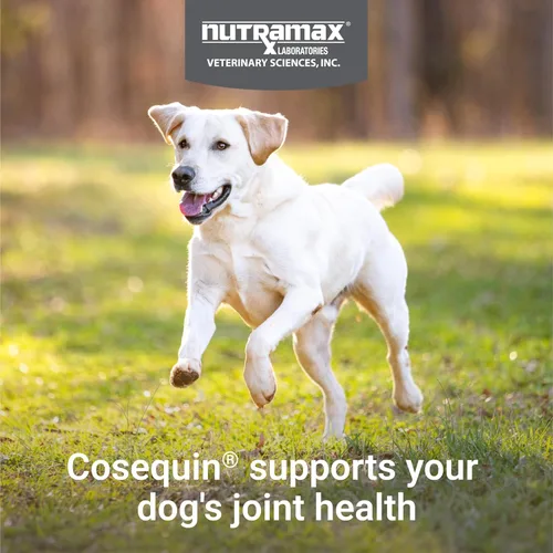 Miniatura 4 de Nutramax Cosequin - Suplemento para la salud de las articulaciones para perros, contiene glucosamina para perros, además de condroitina, apoya