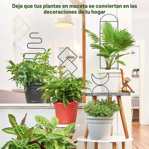 Miniatura 6 de Wellsign Enrejado de plantas de interior para plantas trepadoras, enrejado de metal de jardín pequeño de 16 pulgadas para plantas en macetas al aire