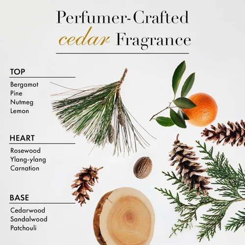 Miniatura 4 de The Laundress Champú de lana y cachemira, 31 lavados, detergente líquido concentrado para lavandería, aroma a cedro, delicado lavado en frío a mano